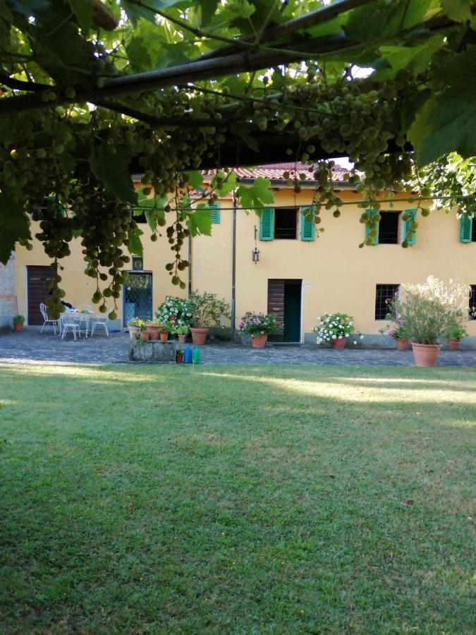 مبيت وإفطار فيتشو Mugello - Casa Di Campagna المظهر الخارجي الصورة